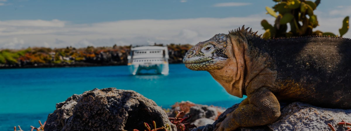 luxury galapagos cruise