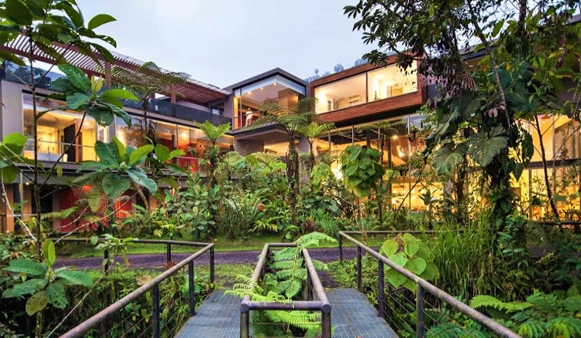 modern stylish hotel surrounded by cloudforest