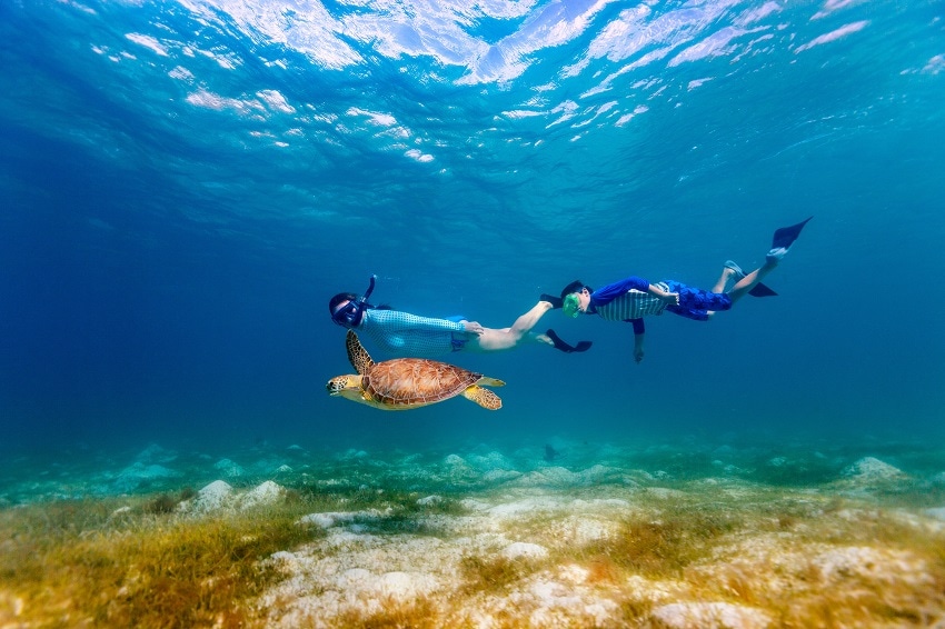 2 children snorkeling with sea turtle in turquois water