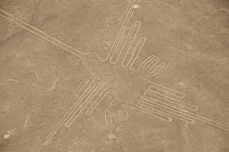 Nazca Lines bird with desert background