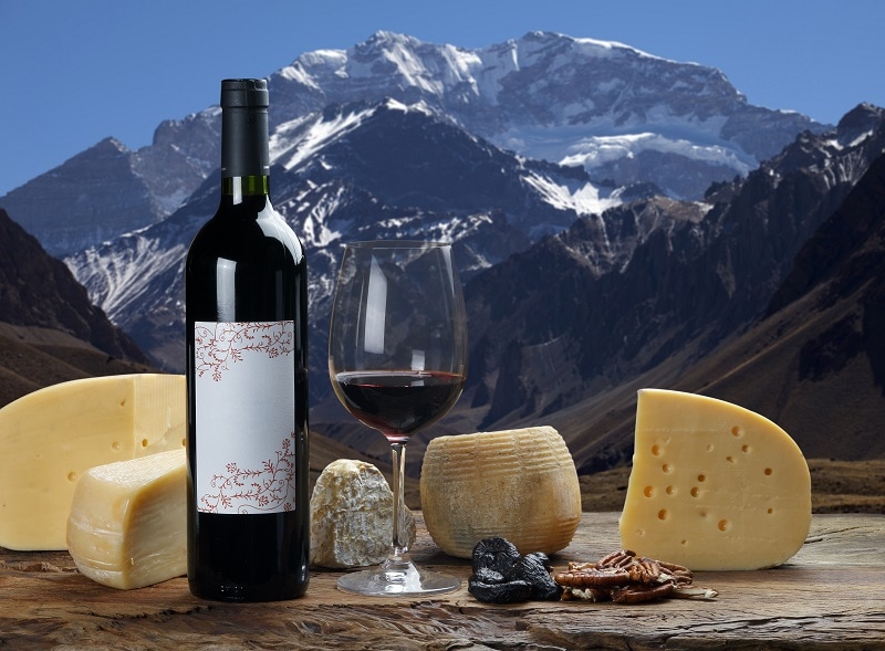 selection of cheese and bottle of red wine with Aconcagua Mountain in the background