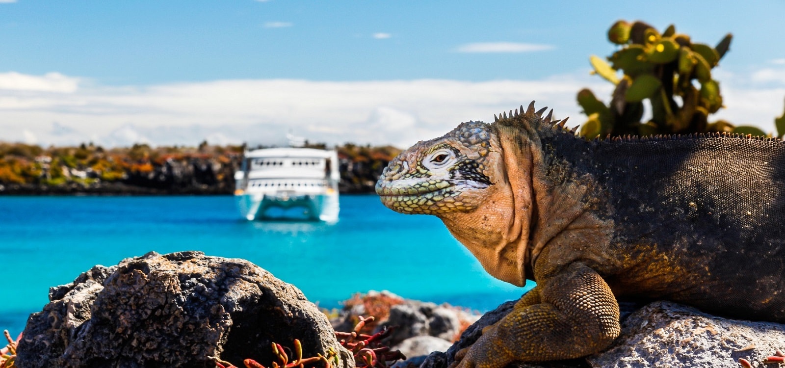 best galapagos tours for seniors