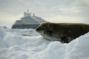 Antarctica Trip Cost